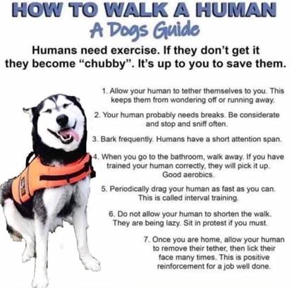 Walk a Human!